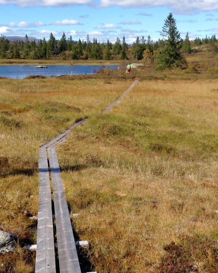 Blefjell Lodge Lampeland Exterior photo
